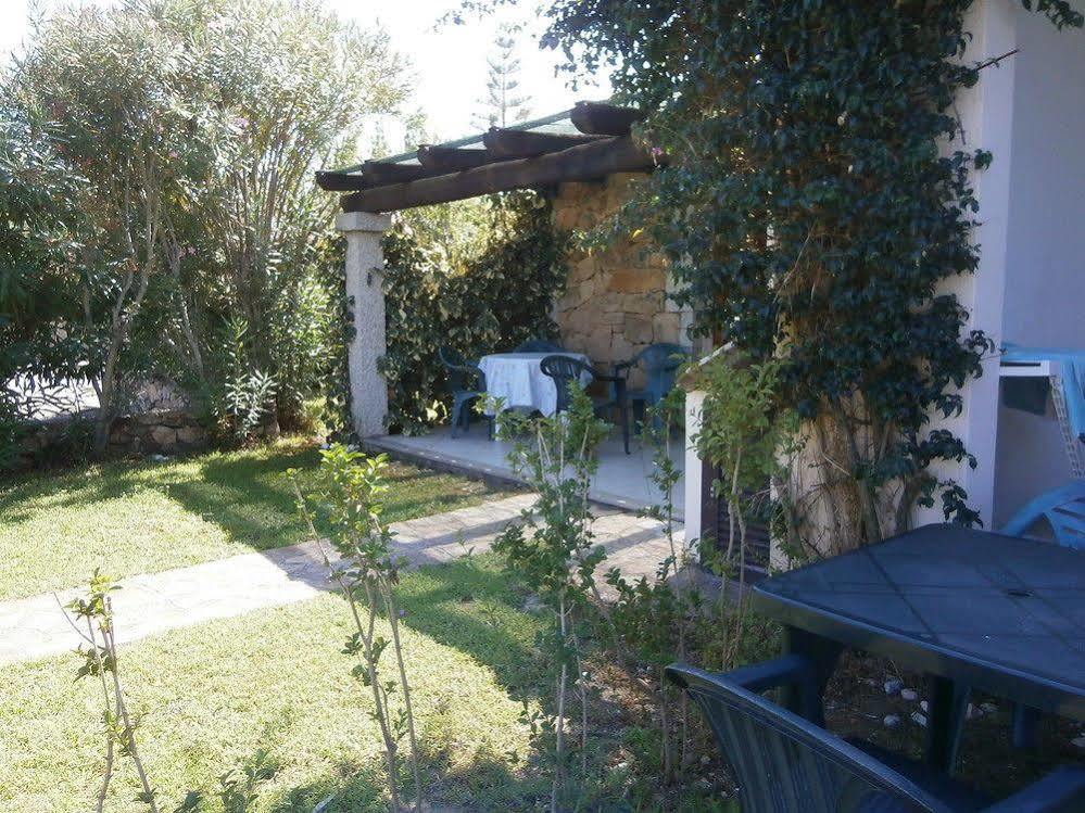 Domus 1